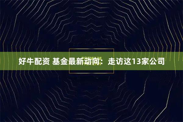 好牛配资 基金最新动向：走访这13家公司