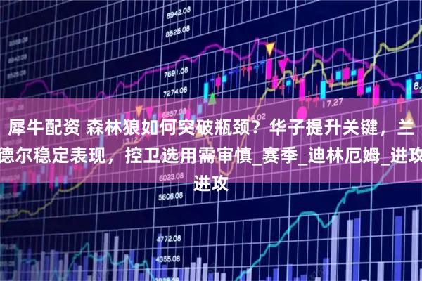 犀牛配资 森林狼如何突破瓶颈？华子提升关键，兰德尔稳定表现，控卫选用需审慎_赛季_迪林厄姆_进攻