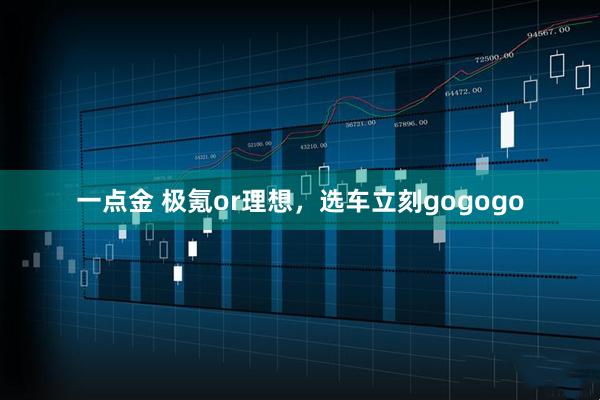 一点金 极氪or理想，选车立刻gogogo